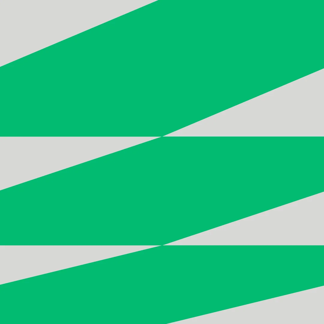 Nhdesign project The Mesh: Diagonal graphic pattern applied to the visual system