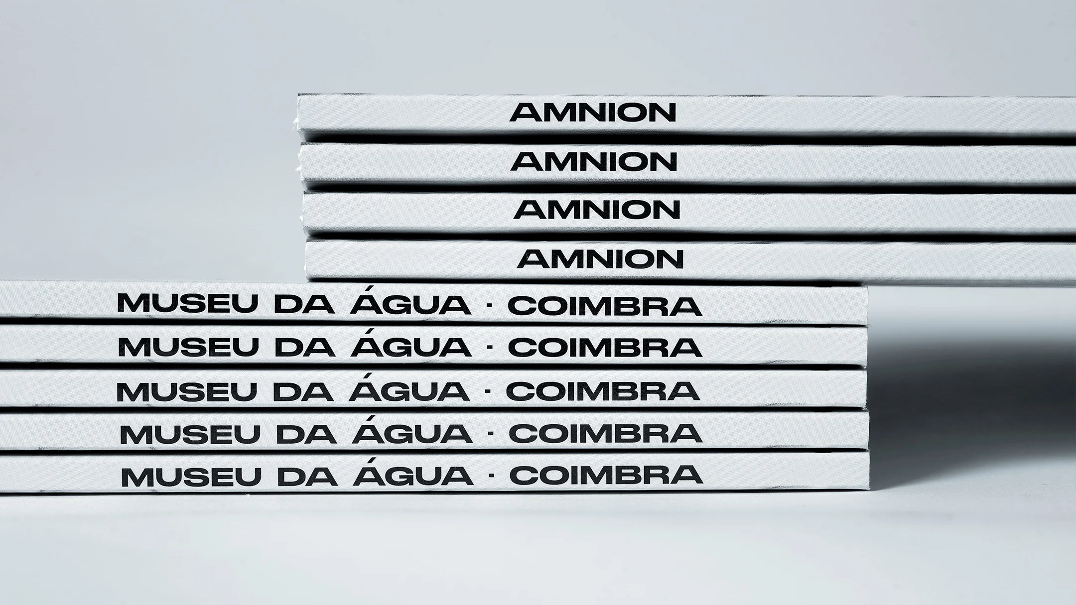 Nhdesign project Amnion: Spine of the Amnion catalog