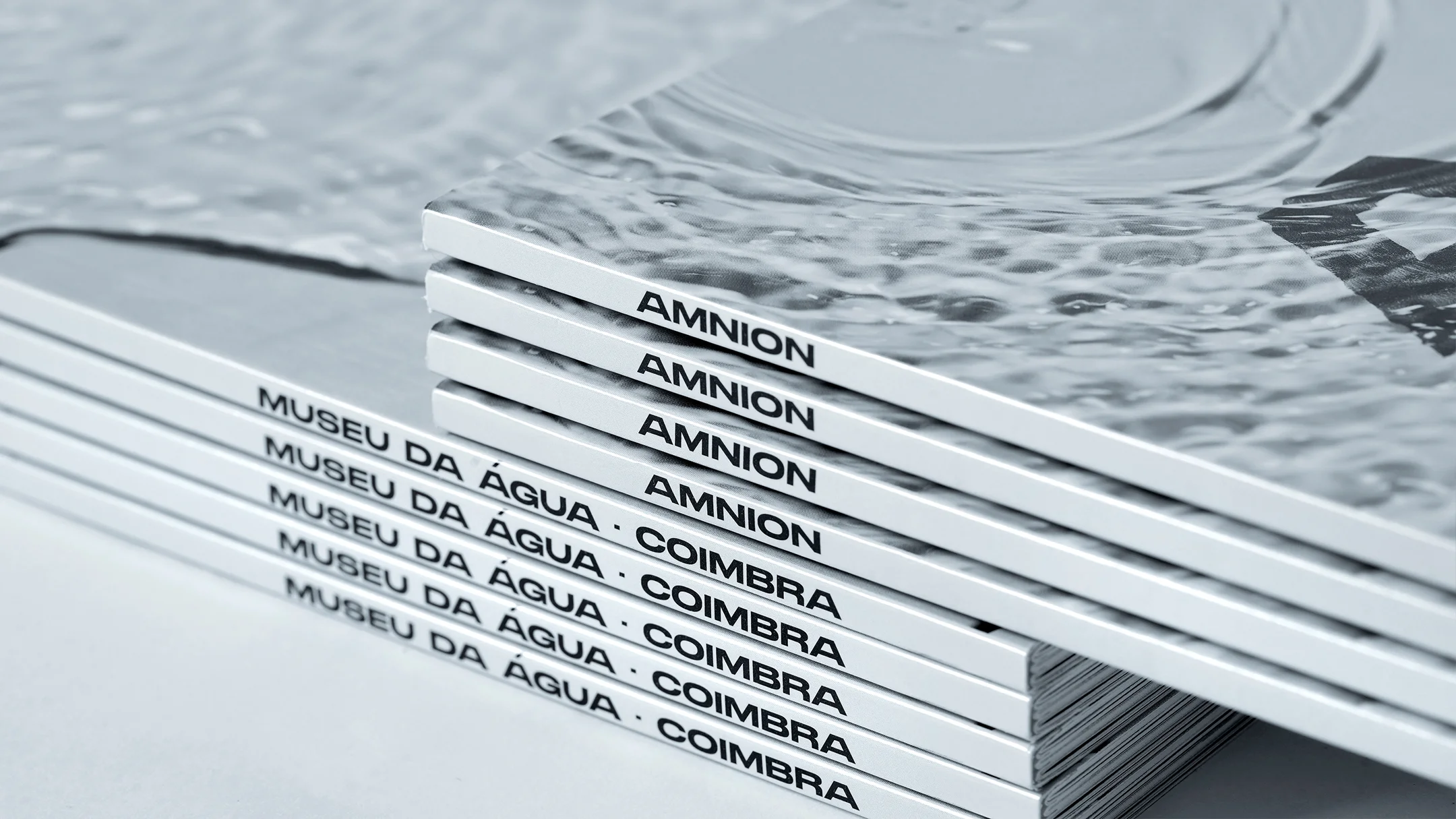 Nhdesign project Amnion: Detail of the spine of the Amnion catalog