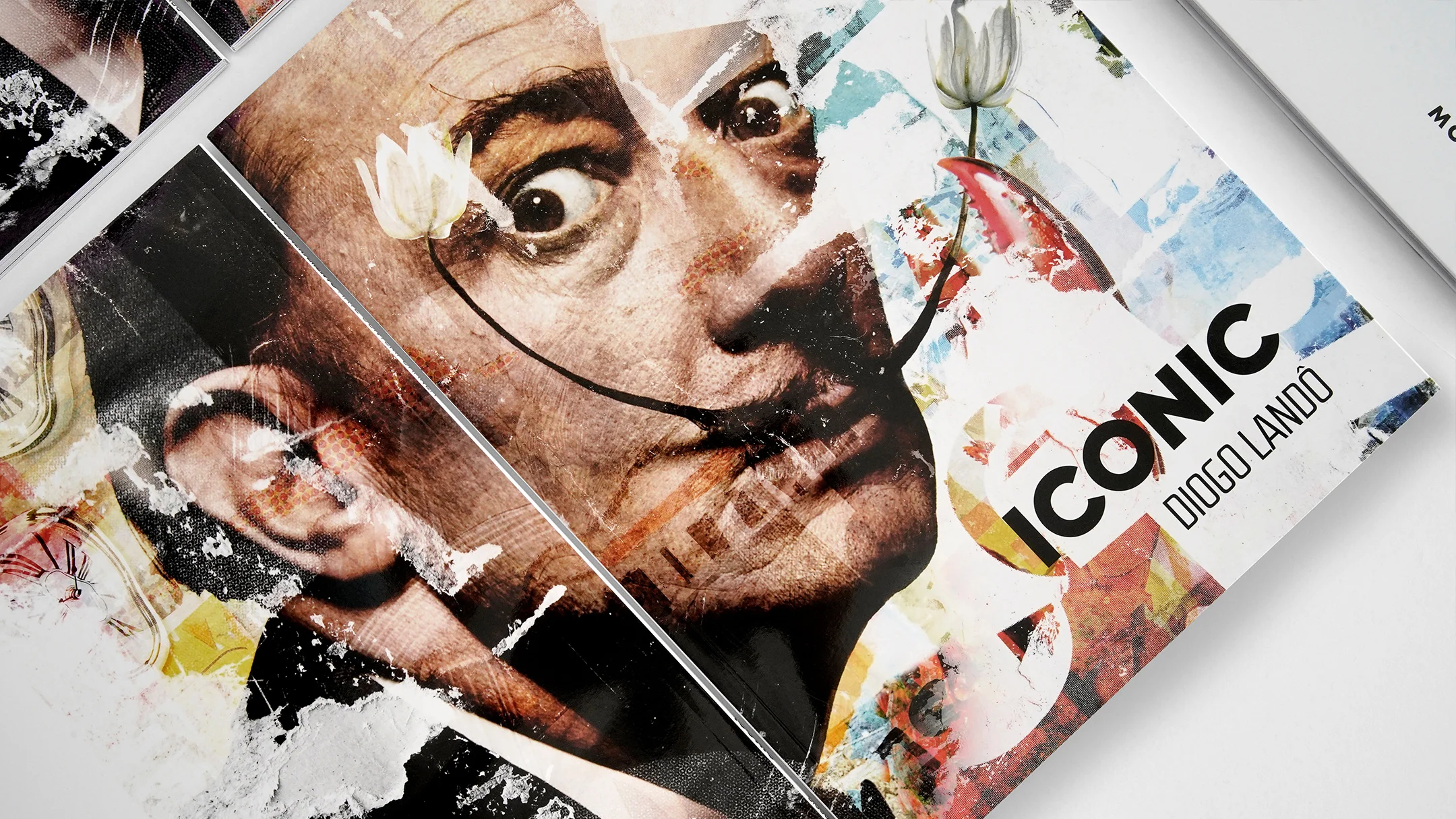 Highlight do projeto Iconic da Nhdesign