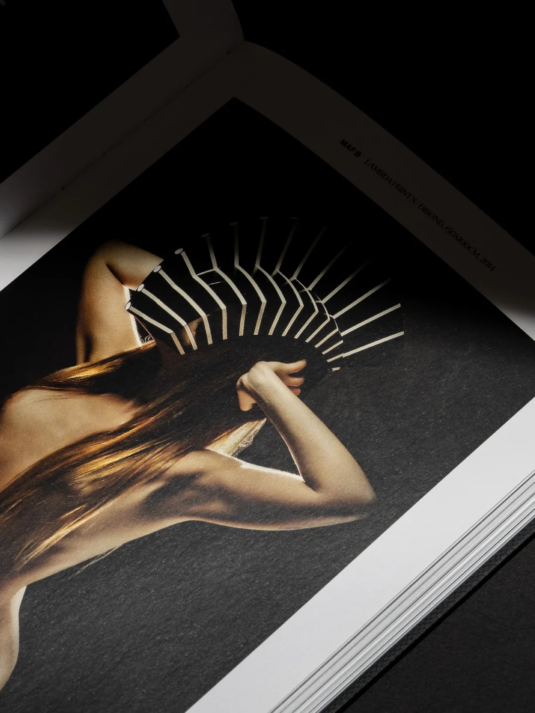 Projeto 30 Anos de Fotografia da Nhdesign: Composição editorial desenvolvida para valorizar o trabalho fotográfico